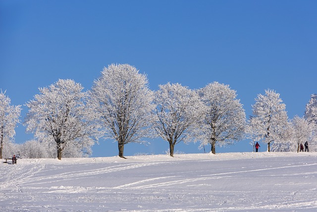 Vinterlandskap